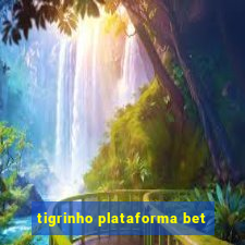 tigrinho plataforma bet